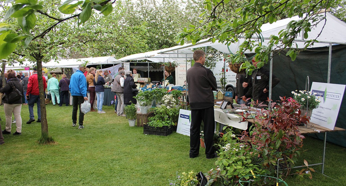 lentefair 1