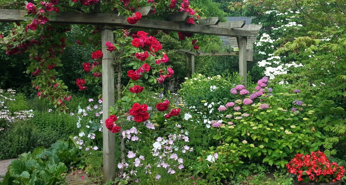 tuin juni diny 2