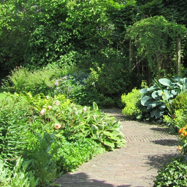 Kopie van juni 2012 014 3